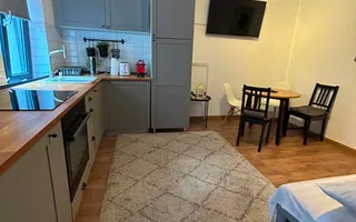 APARTAMENT 2 CAMERE OPENSPACE PARCUL CAROL - TINERETULUI - Poză 18