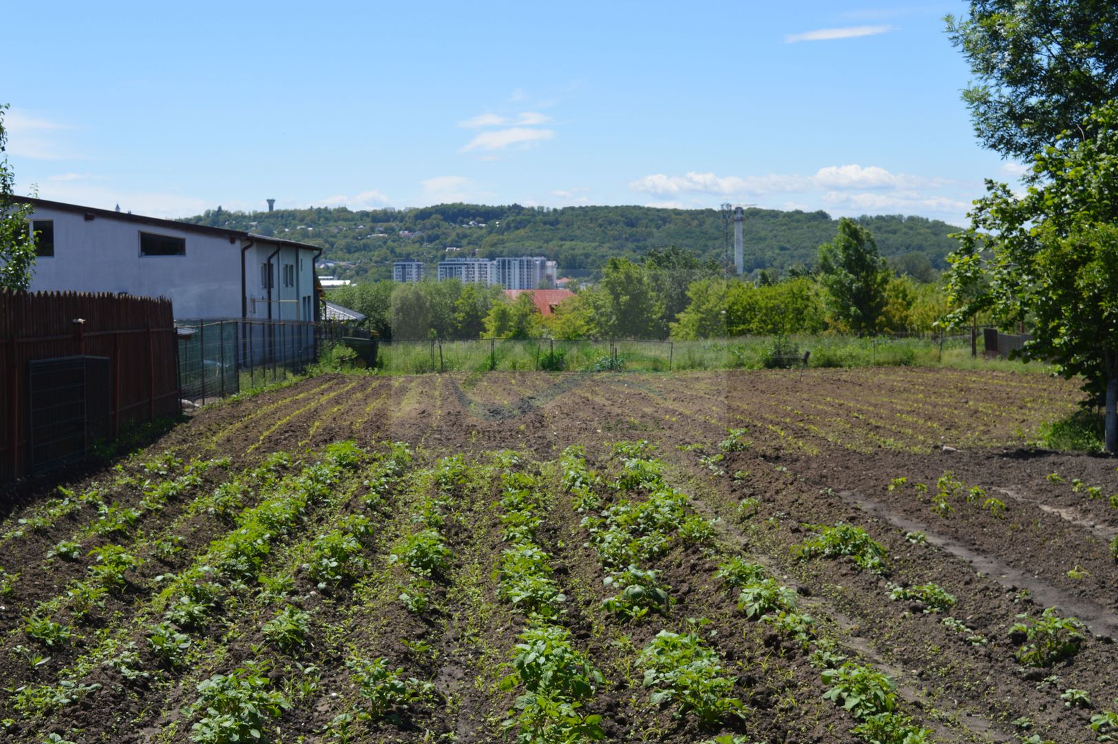 Casa/Spatiu comercial Burdujeni/ Suceava - Poză 20