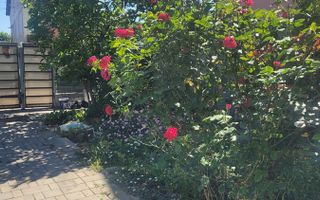 Casa de vanzare Brancoveanu. - Poză 4