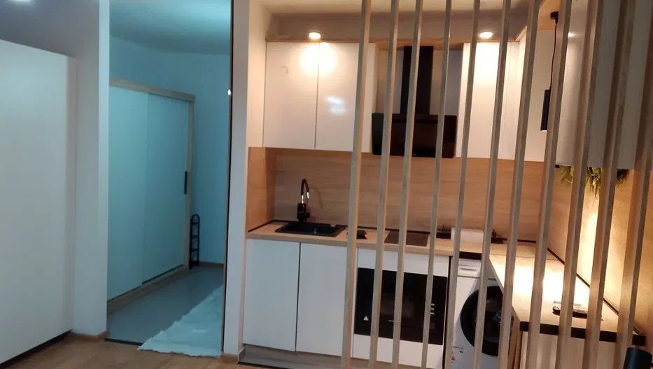 Studio superb de inchiriat - 6 minute Tudor Vladimirescu - Poză 2