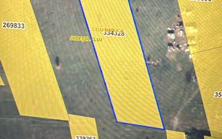 Teren intravilan | 8,602 | Pata Rat - Poză 2