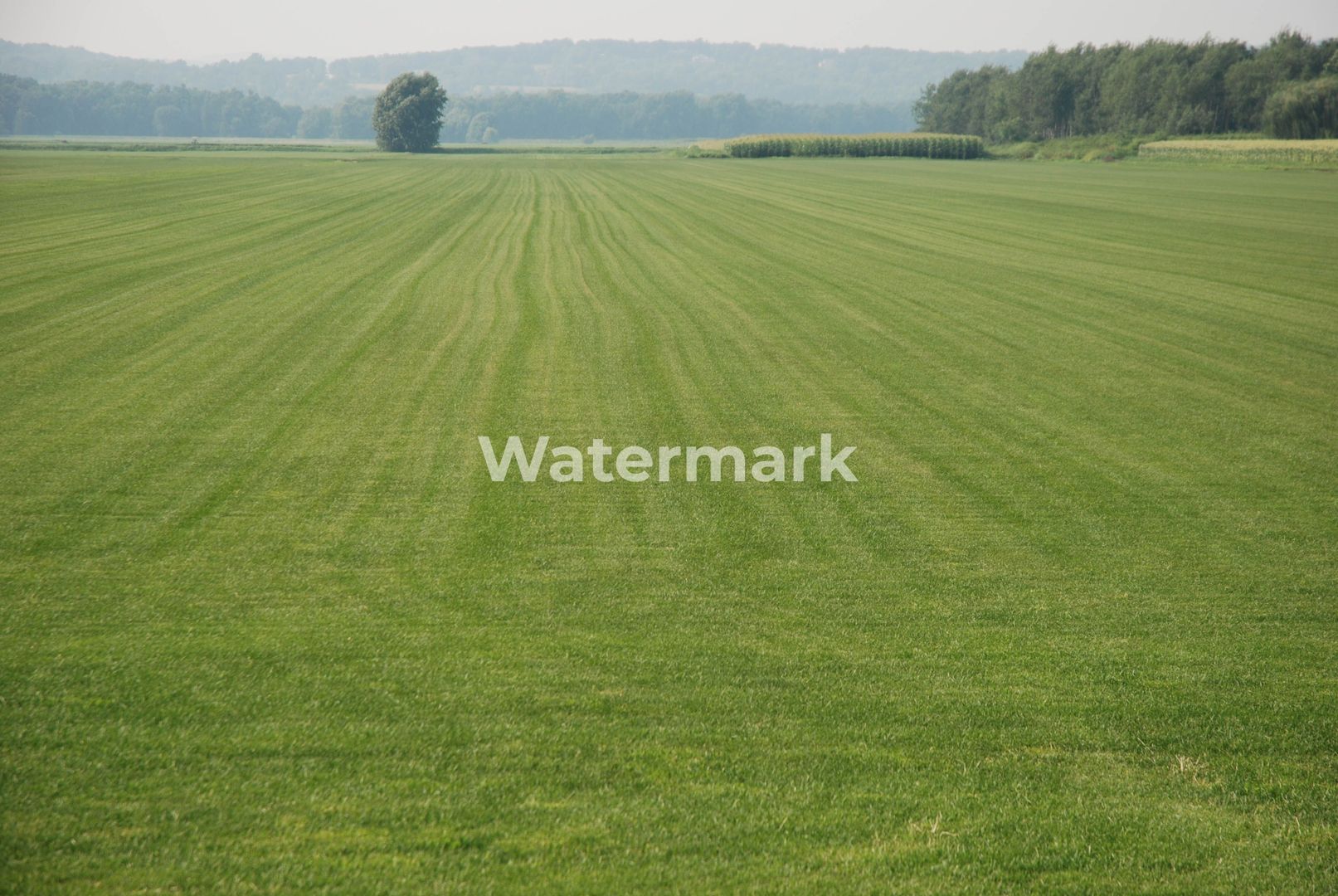 Teren cu PUZ de vanzare in Faget! - Poză 1