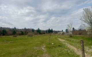 Teren intravilan de vanzare I 1990 mp I Valea Avrigului – lângă Cabana Aris - Poză 1