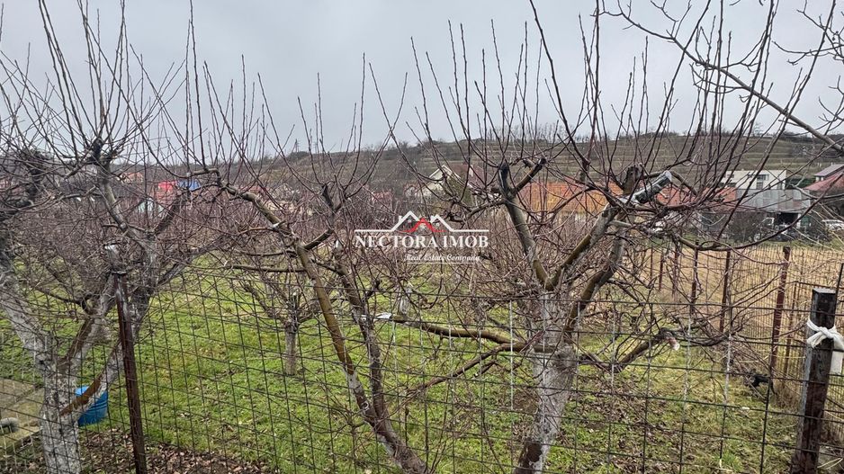 NECTORA IMOB Exclusivitate-Casa S+P+M,Str. Sofiei, 144mp+ 2192mp teren - Poză 3