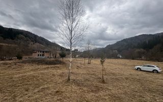 TEREN INTRAVILAN 500 MP SĂTIC- RUCĂR - Poză 7