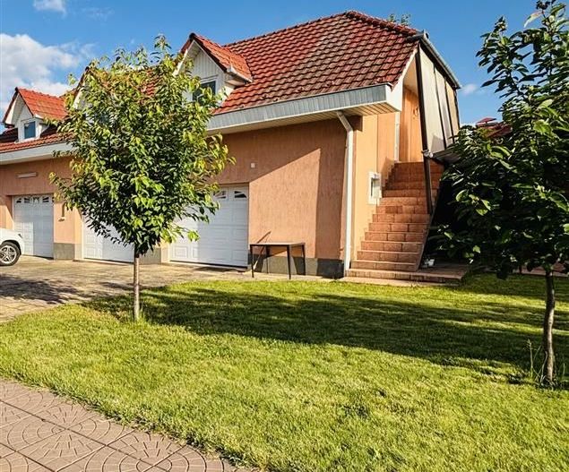 VILA CU 14 CAMERE SI 3405 MP TEREN IN SANMARTIN - Poză 6