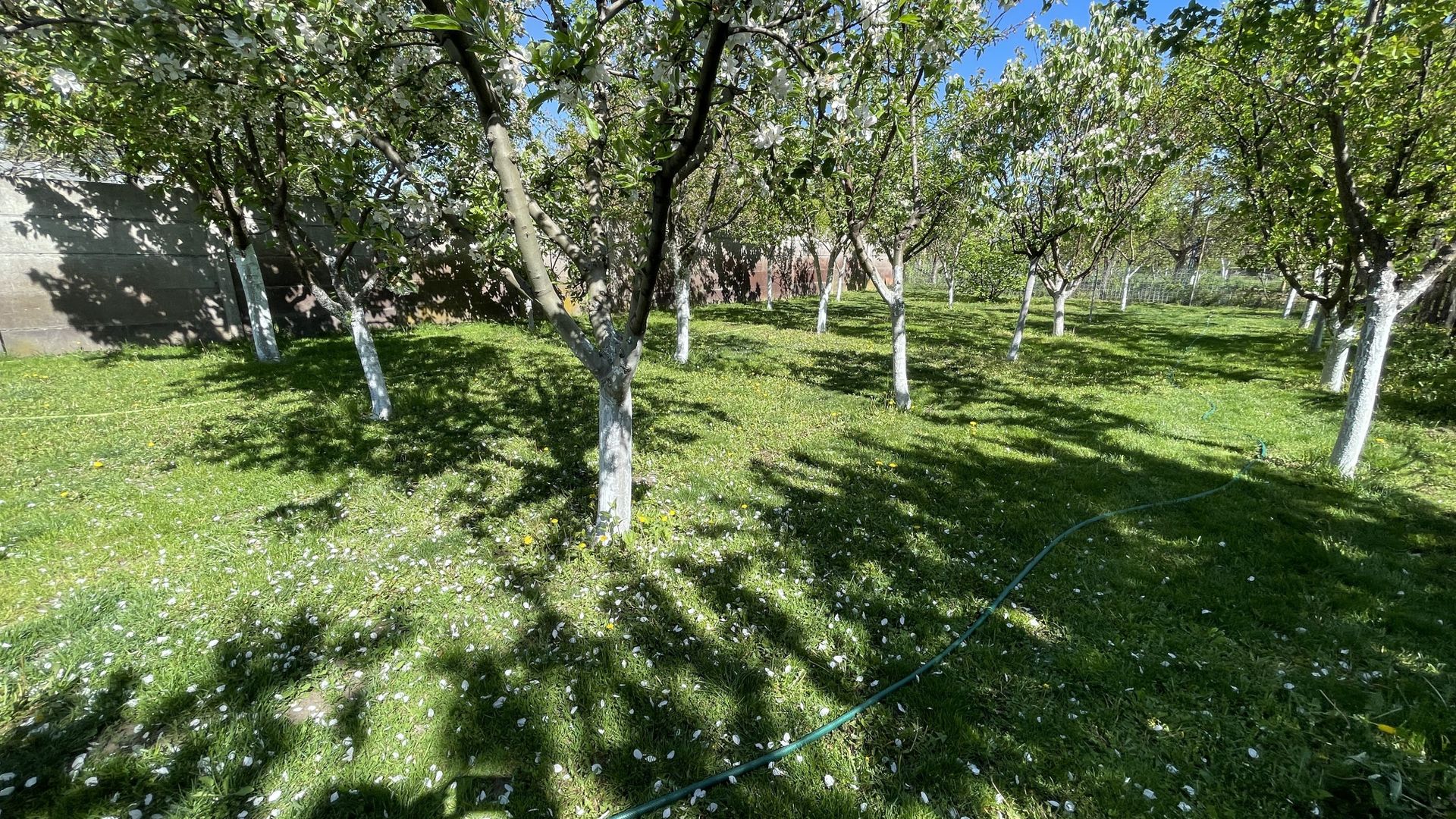 Casa cu teren frumos si garaj zona Mehala - Poză 23