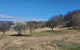 Ocazie ! OCNELE MARI - Sorat, 17,83 Ha. cu pozitie exceptionala - Poză 4