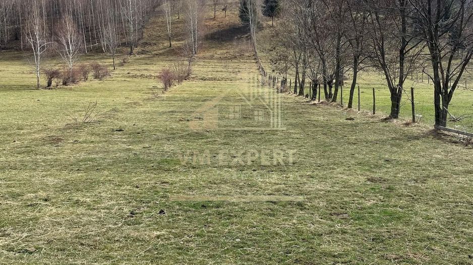 TEREN INTRAVILAN 2500 MP, LERESTI, ARGES - Poză 2