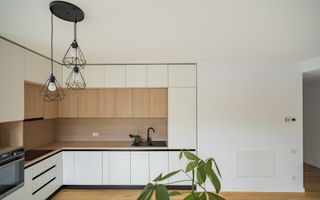 Apartament de 2 camere cu gradina - Poză 6