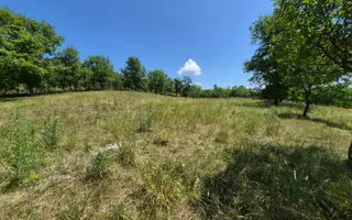 Casa individuala cu teren generos – 8.356 mp – Tichindeal, jud. Sibiu - Poză 43