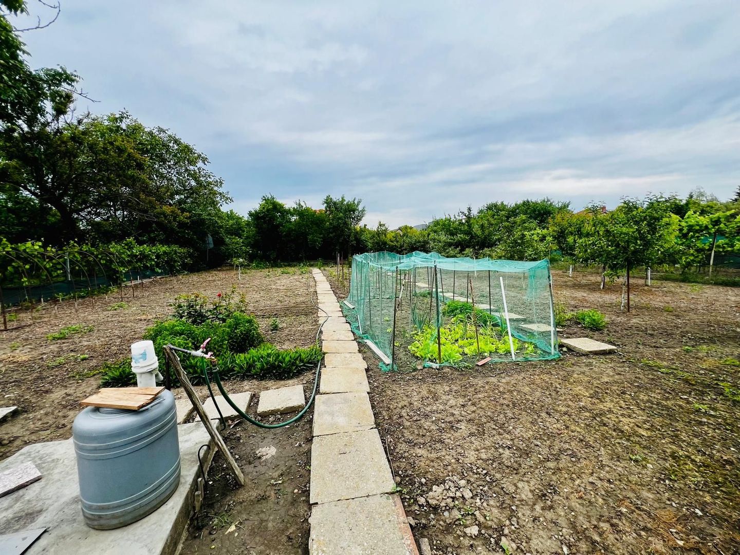 Casă individuală cu teren generos 900mp - Zona Bogdăneștilor - Poză 7