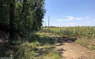 Moara Vlasiei - langa Padurea Biglaru, 11.884 mp, deschidere 40 ml - Poză 9