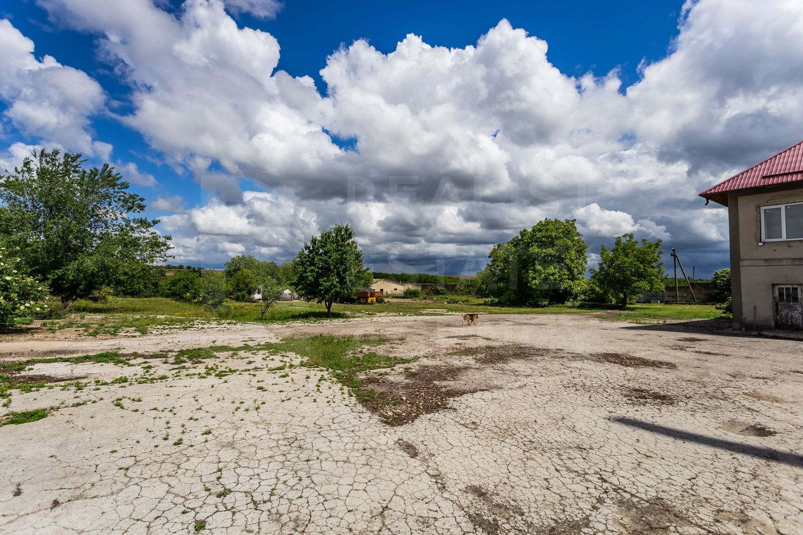Vânzare,teren pentru construcție,1,18 ha, satul Maximovca, Anenii Noi - Poză 17