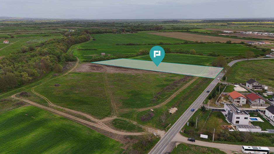 Teren intravilan 5800 mp în Remetea Mare - Poză 2