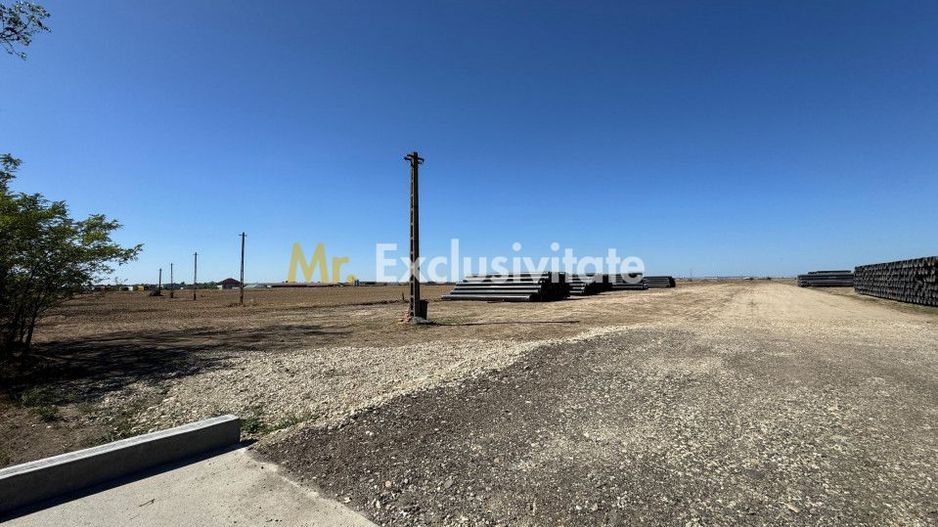 Teren extravilan de vânzare – Căteasca, Argeș | 27.201 mp | Deschidere 58,55 m - Poză 3