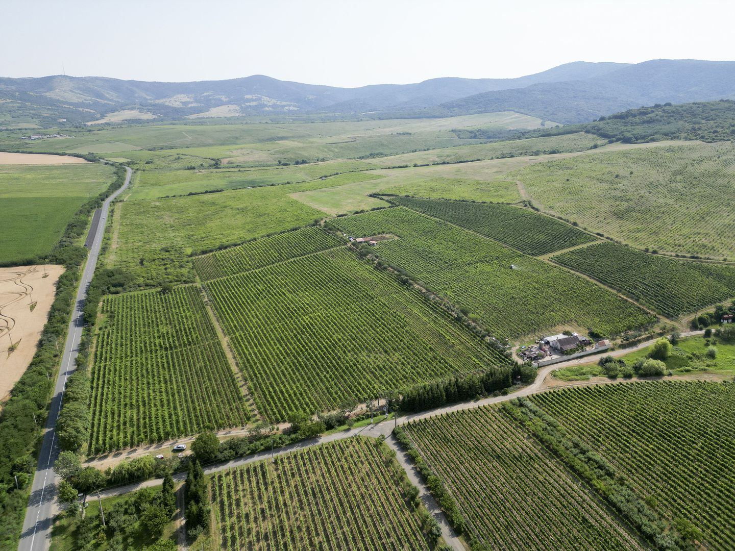 Vie Tradițională „Halta Lupilor” - Poză 33