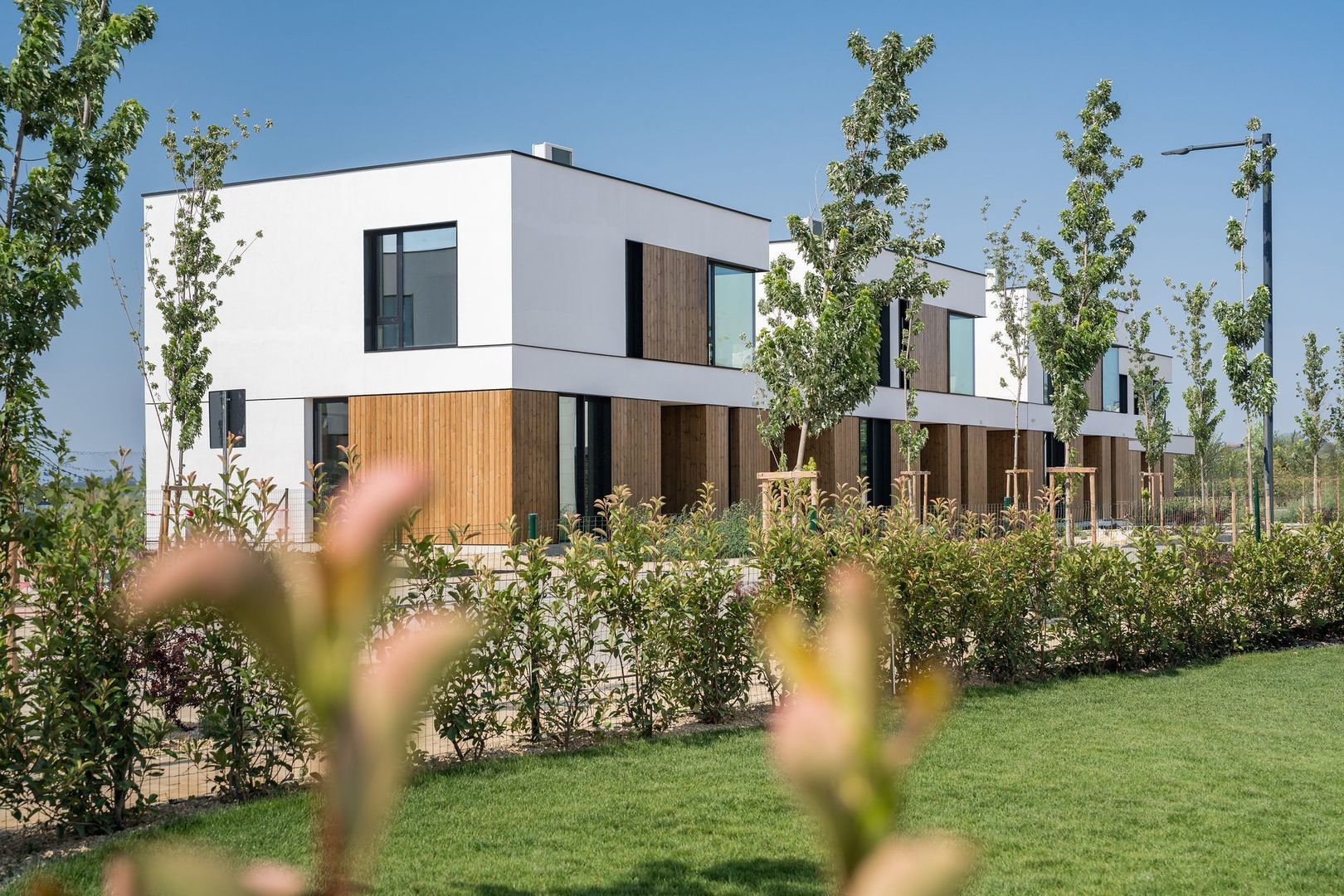 VILA P+1 | AMBER FOREST | 3 CAMERE | CONSTRUCTIE N-ZEB - Poză 2