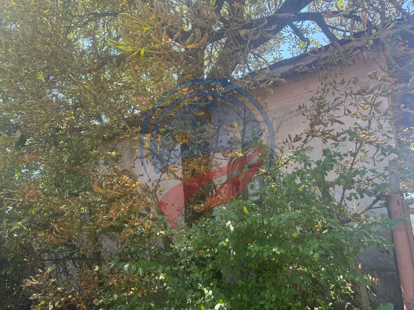 Teren/ casa demolabila Dutulesti - Poză 1