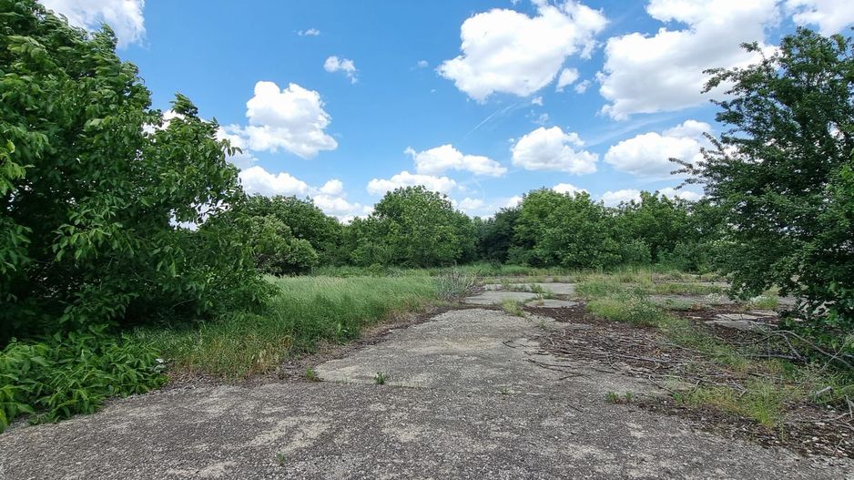 8 ha Otopeni - Poză 3