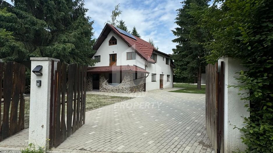 Pensiune/ Vila Valea Avrigului - Poză 6