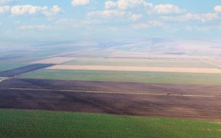 5 Ha | Teren extravilan | Langa Fabrica Reci - Poză 2