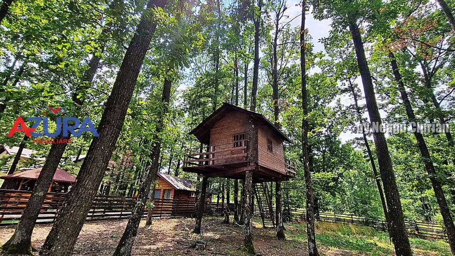 Casă de vacanță în pădure, 10 km de Pitești - Babana - Poză 16