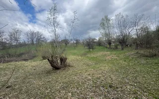 TEREN INTRAVILAN 4365 MP POENARII DE MUȘCEL  JUDEȚUL ARGES - Poză 13
