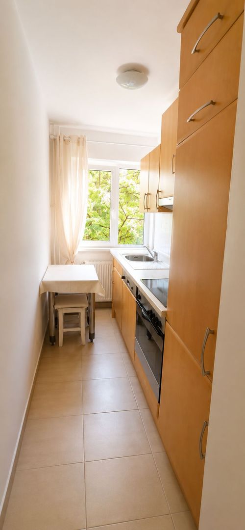 Apartament cochet cu 2 camere, situat la etajul 1 (Zona Dacia) - Poză 3
