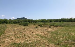 Teren intravilan de vanzare , Tautii Megheraus - Poză 3