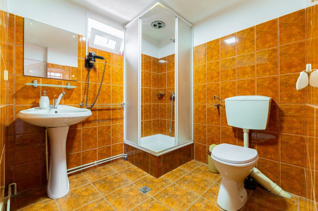 Casa + Pensiune deosebita - Orlat, Sibiu - Poză 42