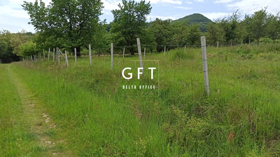 Teren 1000mp+cota drum-ideal cabana/investitie-panorama-Valea Rusului - Poză 3