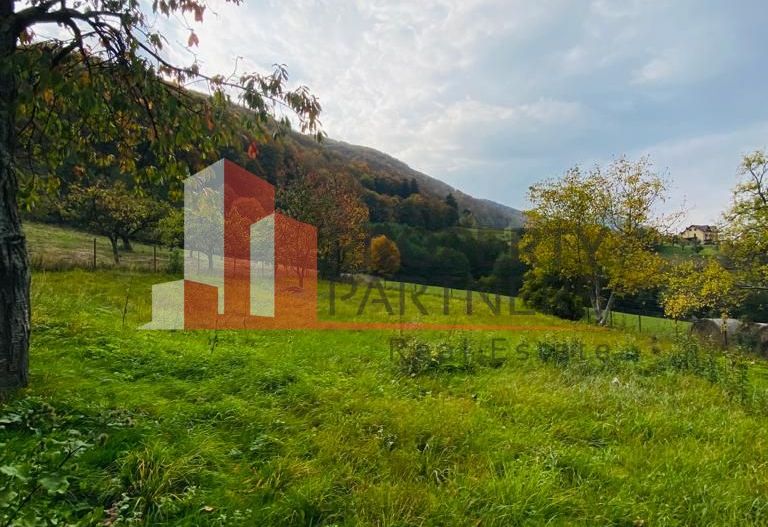 Casa + teren 1700 mp langa Padure Bran/ Predelut - Poză 6