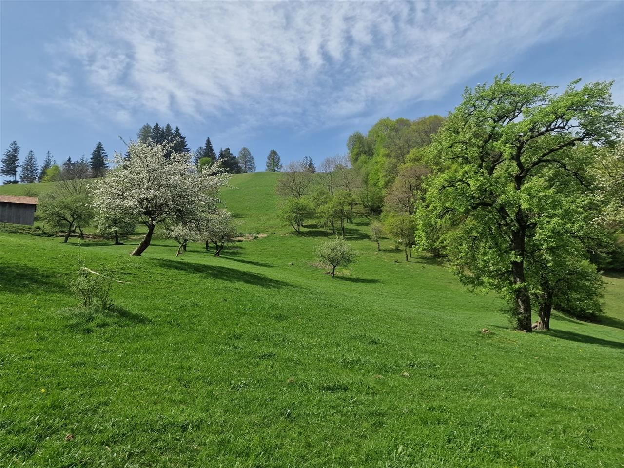 Langa emblematicul Castelul Bran, in areal colinar, 5.700mp intravilan - Poză 3