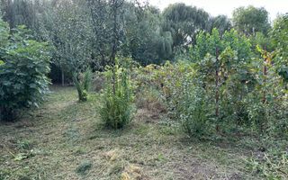 Casă individuală Buftea, 3.162 mp teren, ieșire spre lac - Poză 50