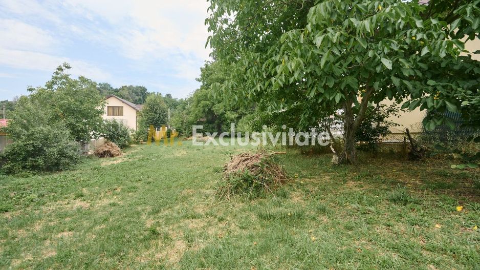 Teren 2240 mp intravilan + casa batraneasca Hintesti-Basangesti - Poză 9