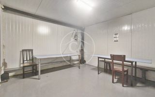 Hala de inchiriat in zona Sanmartin, Oradea - Poză 7