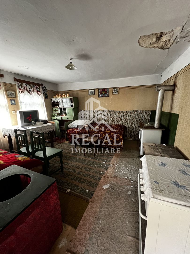 Două case cu teren de 36.291 mp, în Dealul Mic - Poză 3