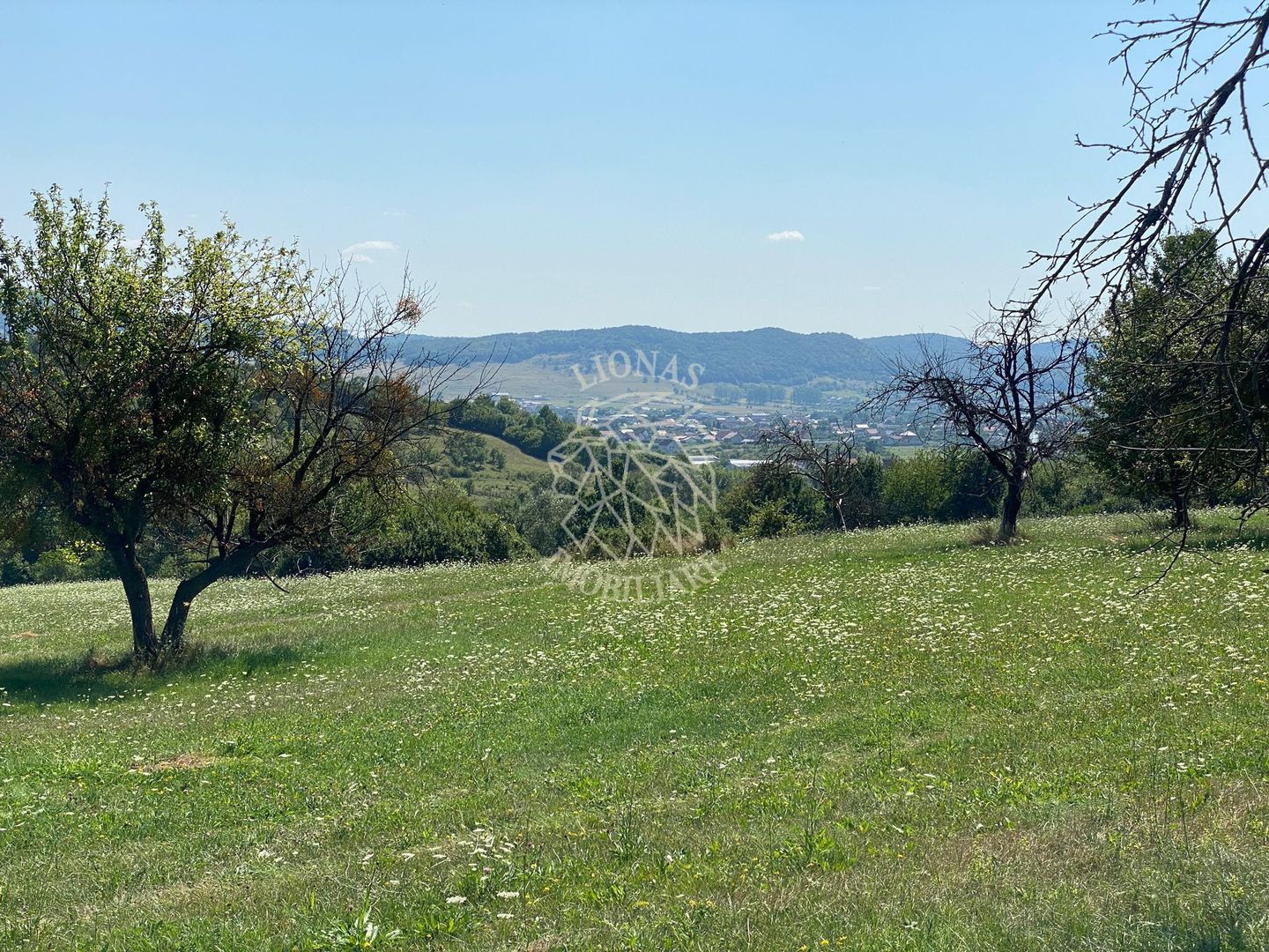 Teren 11.000 mp-ideal cabana/ferma-Unirea-Valea Slatinitei - Poză 5