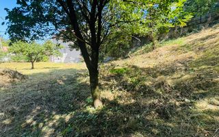 TEREN INTRAVILAN 3234 MP LEREȘTI VOINEȘTI ARGEȘ - Poză 24