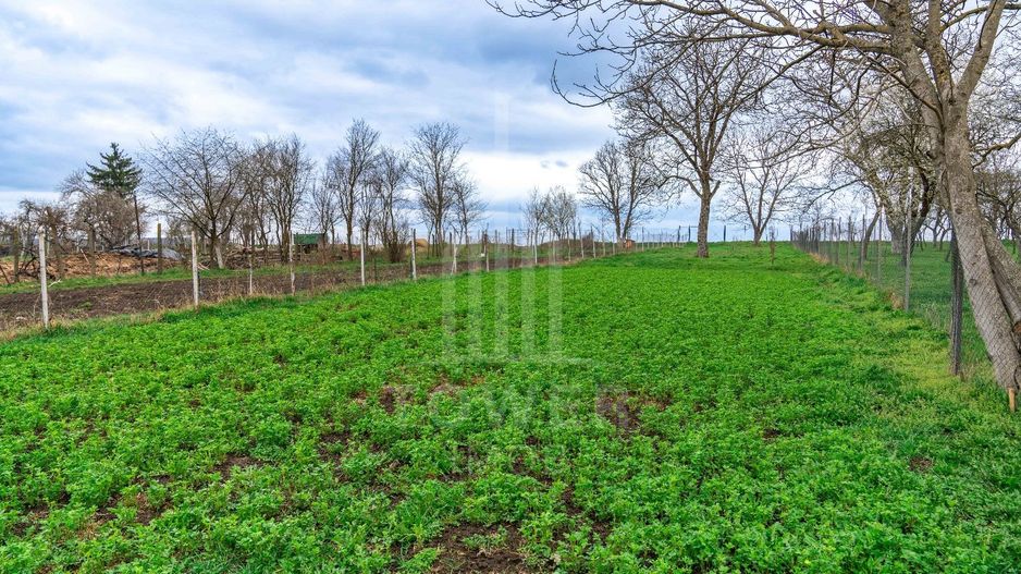 🏡 Casă spațioasă în Roșia, priveliște spre Munții Făgăraș - Comision 0% - Poză 8