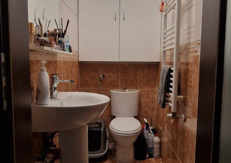 Giroc-Aleea cu plopi | 3 Camere | Curte comuna | Mobilat si utilat | Loc parcare - Poză 9