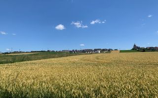 TEREN INTRAVILAN – SF. ILIE| SUCEAVA | 3.500 €/ar - Poză 2