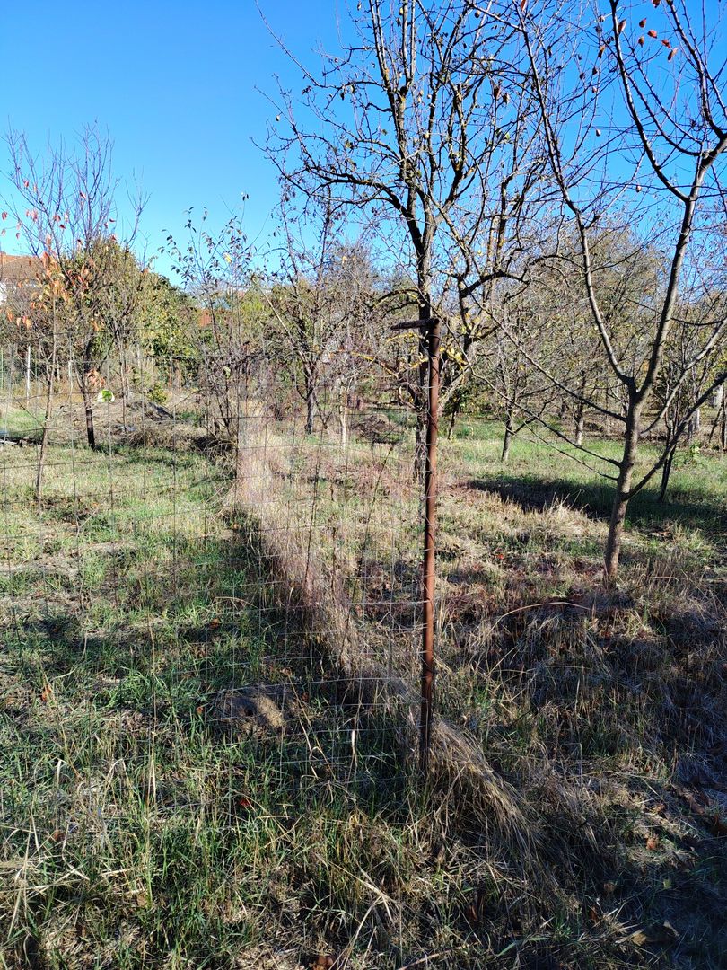 CASĂ 4 CAMERE\CARANSEBEȘ,JUD.CARAȘ-SEVERIN - Poză 24