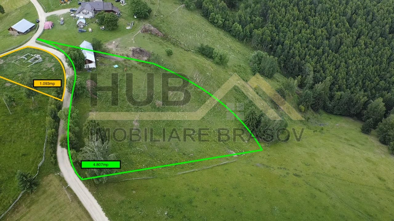 Oportunitate Investitie |Teren Pestera | 2.250mp |Utilitati Gaz/Curent - Poză 5