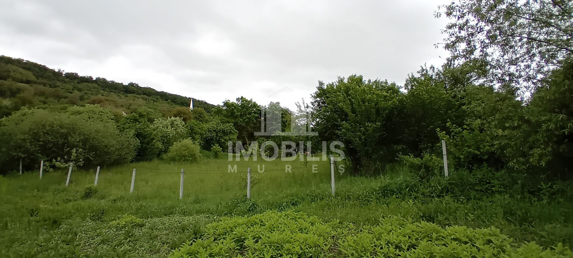 Teren intravilan | Budiu Mic | 994 mp - Poză 4