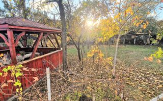 Apartament 2 camere de inchiriat curte, foișor,grădină – zona Shopping City - Poză 1