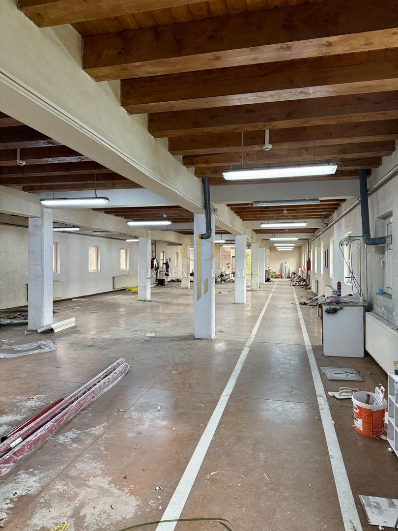 Spatii comerciale pentru activitati diverse - Dumbravita, central - Poză 2