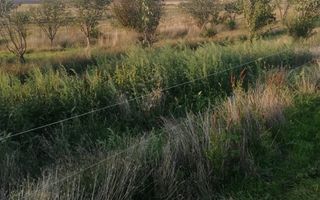 Ferma de vânzare - Poză 8