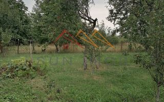 Casa rustica 3 camere, 4000 mp teren, cabana din lemn, pomi fructiferi - Poză 9